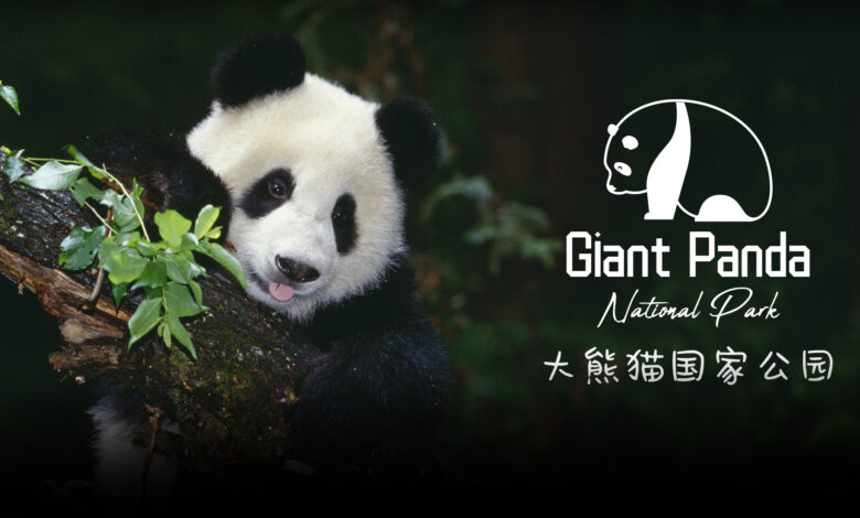 NIO GIant Panda